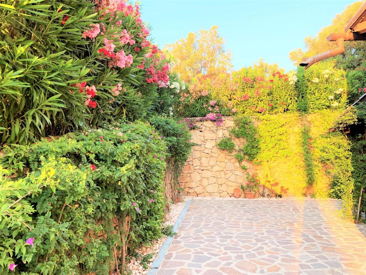 קוניאנה Villa Anastasia מראה חיצוני תמונה