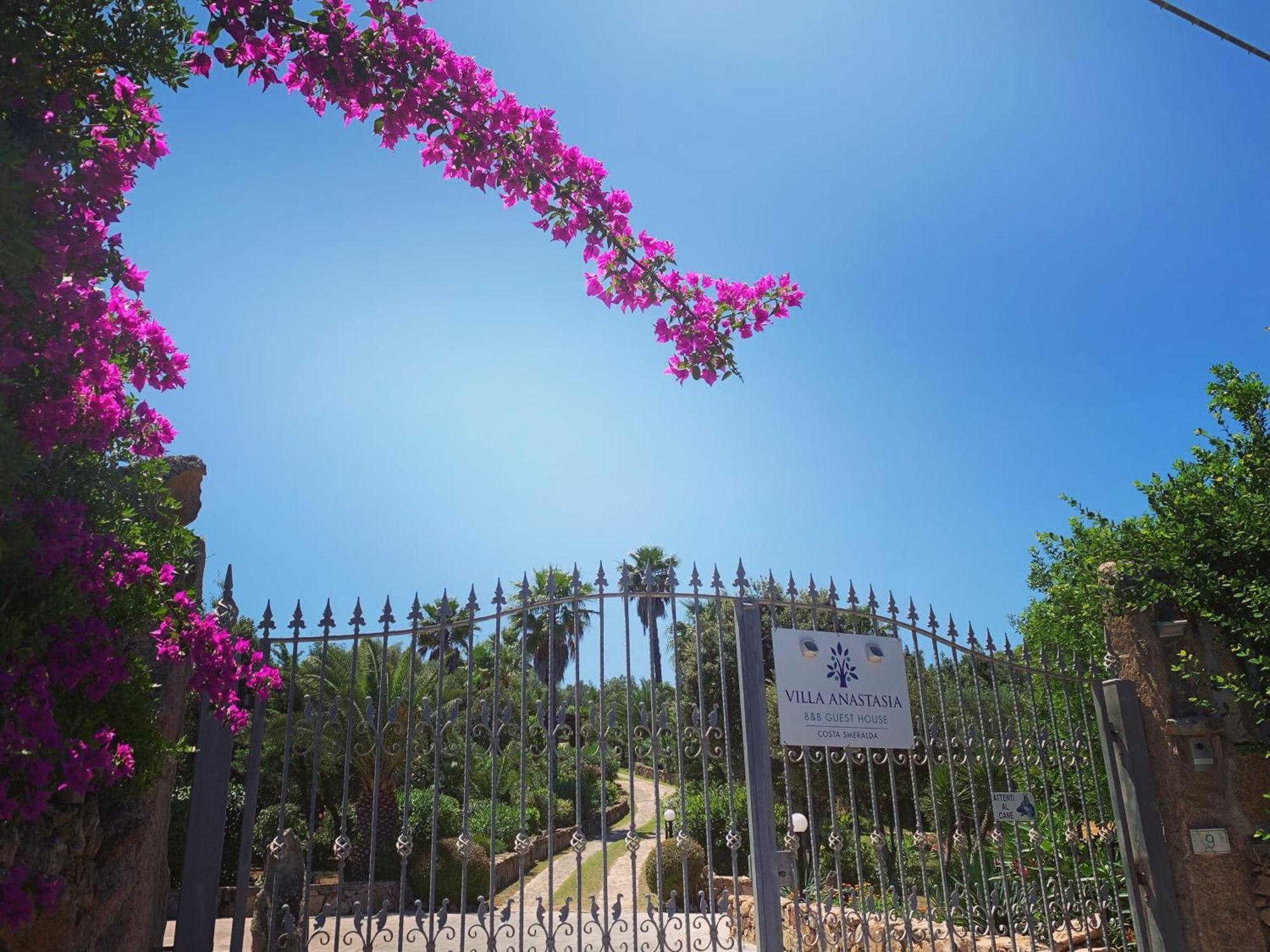קוניאנה Villa Anastasia מראה חיצוני תמונה